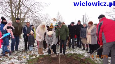 seniorzy - mieszkańcy Wielowicza sadzą drzewo - dąb niepodległości